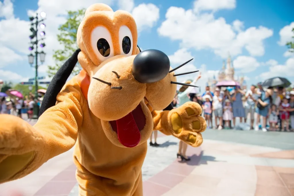 Samoya festival chiens : le rendez-vous annuel des grandes races
